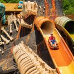 Attraction aquatique DinoSplash à Plopsaland Ardennes