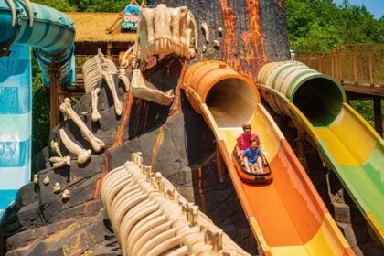 Attraction aquatique DinoSplash à Plopsaland Ardennes