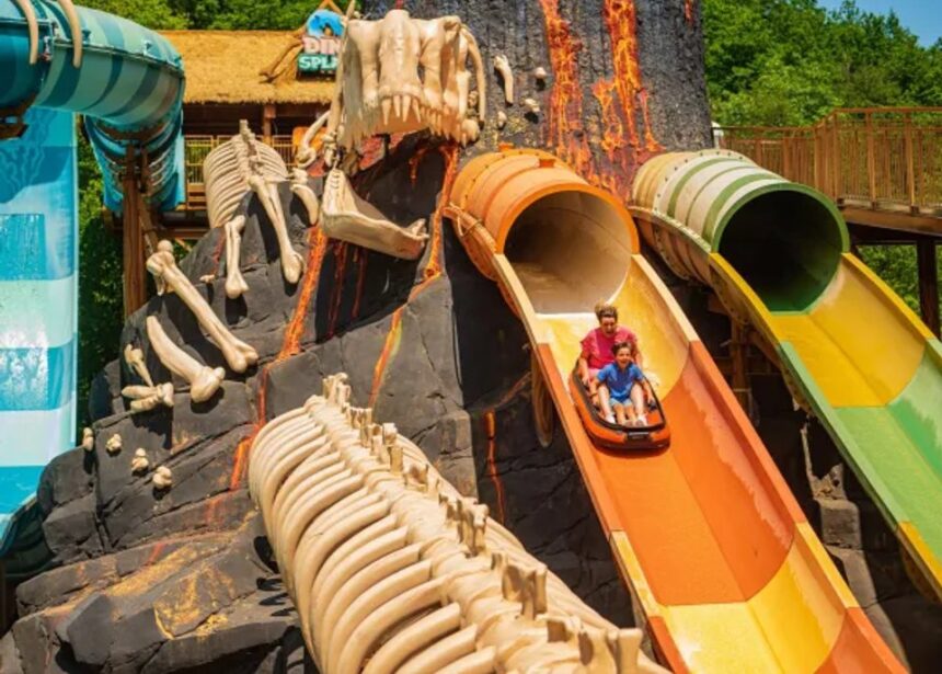 Attraction aquatique DinoSplash à Plopsaland Ardennes