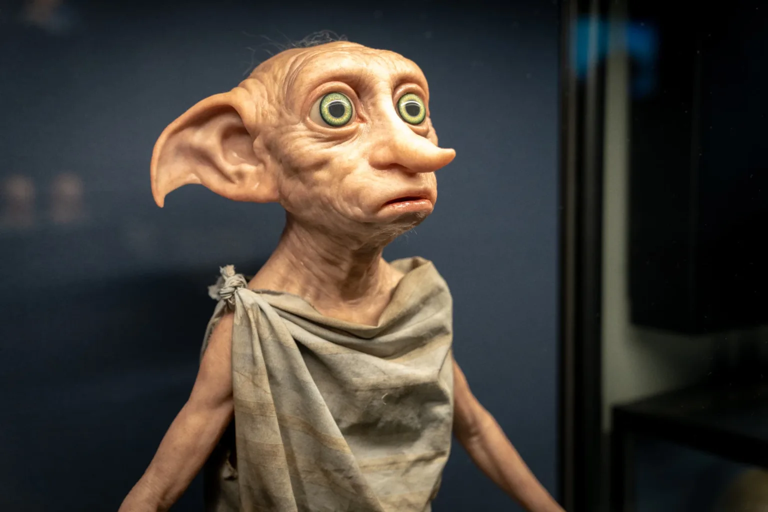 Dobby displayed among the studio tour’s creature effects
